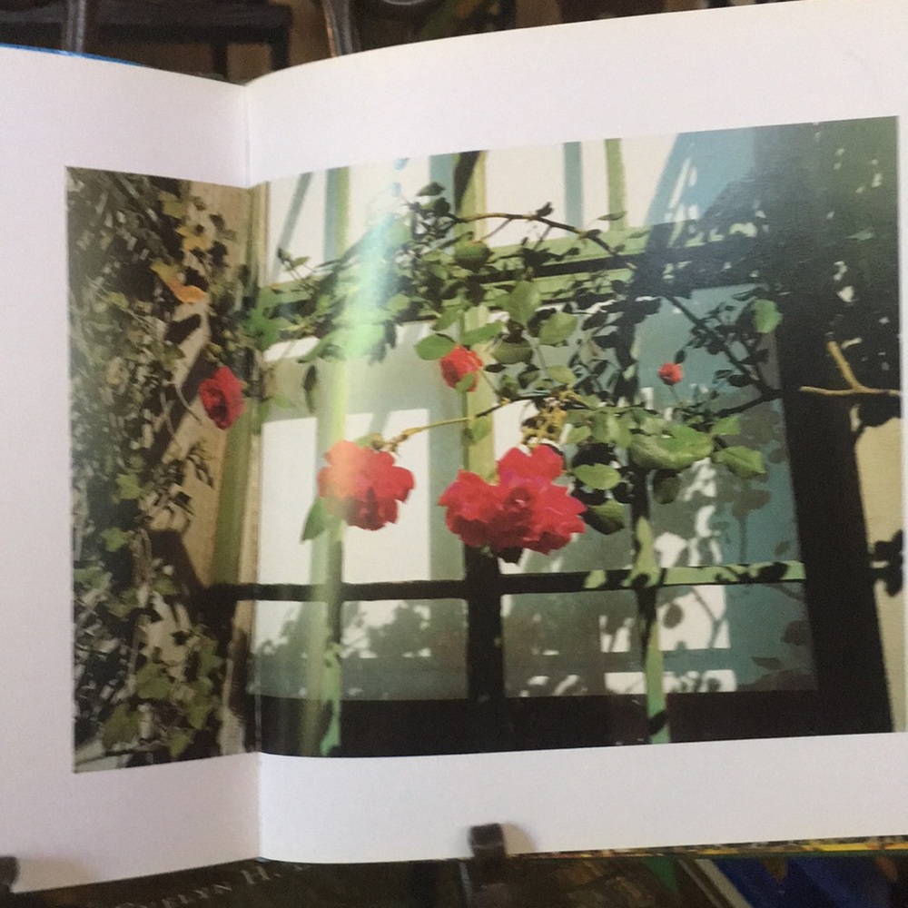 Coffee Table book of Photography by Evelyn Lauder “The Seasons Observed”. NWOT. - Picture 4 of 6